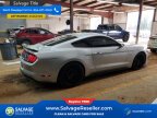 Thumbnail Photo 4 for New 2019 Ford Mustang GT Coupe
