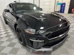 Thumbnail Photo 5 for 2019 Ford Mustang