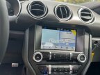 Thumbnail Photo 5 for 2019 Ford Mustang
