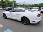 Thumbnail Photo 5 for 2019 Ford Mustang GT