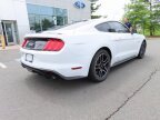 Thumbnail Photo 3 for 2019 Ford Mustang GT