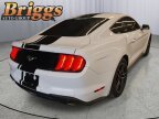 Thumbnail Photo 6 for 2019 Ford Mustang