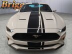 Thumbnail Photo 1 for 2019 Ford Mustang
