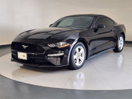 Photo 1 for 2019 Ford Mustang