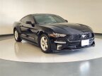 Thumbnail Photo 5 for 2019 Ford Mustang