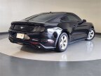 Thumbnail Photo 1 for 2019 Ford Mustang