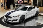 Thumbnail Photo 5 for 2019 Ford Mustang Shelby GT350