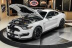 Thumbnail Photo 6 for 2019 Ford Mustang Shelby GT350