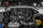 Thumbnail Photo 3 for 2019 Ford Mustang Shelby GT350