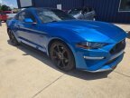 Thumbnail Photo 2 for 2019 Ford Mustang GT Premium