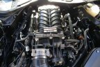 Thumbnail Photo 6 for 2019 Ford Mustang