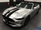 Thumbnail Photo 5 for 2019 Ford Mustang GT Premium