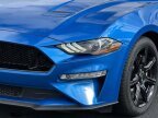 Thumbnail Photo 5 for 2019 Ford Mustang