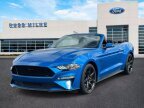 Thumbnail Photo 4 for 2019 Ford Mustang