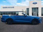 Thumbnail Photo 1 for 2019 Ford Mustang