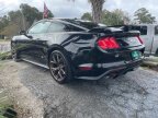 Thumbnail Photo 2 for 2019 Ford Mustang