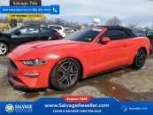 New 2019 Ford Mustang Convertible