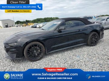 New 2019 Ford Mustang Convertible