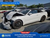 New 2019 Ford Mustang Convertible