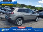 Thumbnail Photo 4 for 2019 Jeep Grand Cherokee