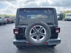 Thumbnail Photo 6 for 2019 Jeep Wrangler
