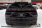 Thumbnail Photo 4 for 2019 Lamborghini Urus