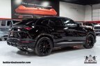 Thumbnail Photo 5 for 2019 Lamborghini Urus