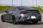 Thumbnail Photo 6 for 2019 Mercedes-Benz CLS53 AMG