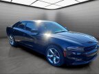 Thumbnail Photo 2 for 2020 Dodge Charger SXT