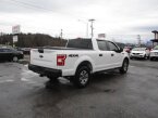 Thumbnail Photo 6 for 2020 Ford F150