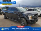 Thumbnail Photo 5 for New 2020 Ford F150