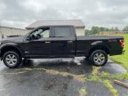 Thumbnail Photo 2 for 2020 Ford F150