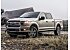 2020 Ford F150