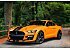 2020 Ford Mustang Shelby GT500 Coupe