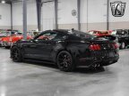 Thumbnail Photo 3 for 2020 Ford Mustang