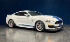 Thumbnail Photo 4 for 2020 Ford Mustang