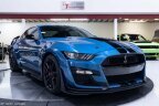 Thumbnail Photo 3 for 2020 Ford Mustang Shelby GT500