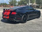 Thumbnail Photo 3 for 2020 Ford Mustang