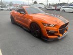 Thumbnail Photo 1 for 2020 Ford Mustang Shelby GT500