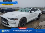 New 2020 Ford Mustang Coupe