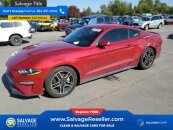 New 2020 Ford Mustang Coupe