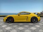 Thumbnail Photo 5 for 2020 Porsche 718 Cayman GT4