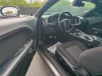 Thumbnail Photo 2 for 2021 Dodge Challenger SXT