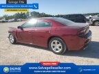 Thumbnail Photo 3 for 2021 Dodge Charger SXT