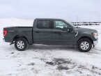 Thumbnail Photo 3 for 2021 Ford F150