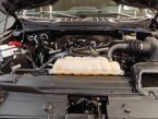 Thumbnail Photo 2 for 2021 Ford F150