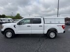 Thumbnail Photo 6 for 2021 Ford F150