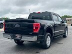 Thumbnail Photo 6 for 2021 Ford F150