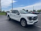 Thumbnail Photo 4 for 2021 Ford F150
