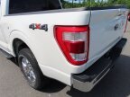Thumbnail Photo 6 for 2021 Ford F150